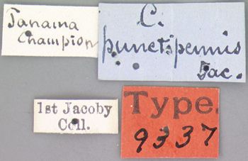 Media type: image; Entomology 9337   Aspect: labels